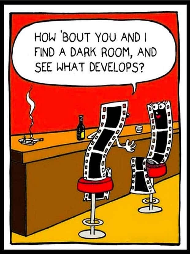 Amusing Puns for Endless Fun and Laughter (35 photos)