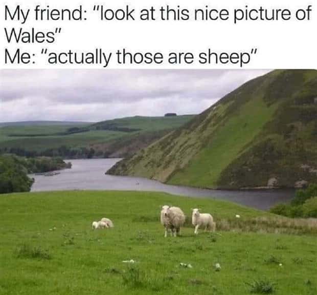 Amusing Puns for Endless Fun and Laughter (35 photos)