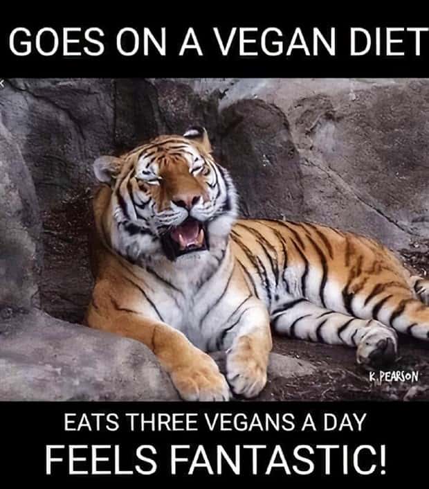 Amusing Puns for Endless Fun and Laughter (35 photos)