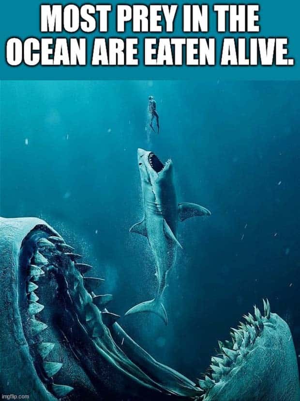 amusing shower thoughts 19 Funny Shower Thoughts #105 (24 photos)