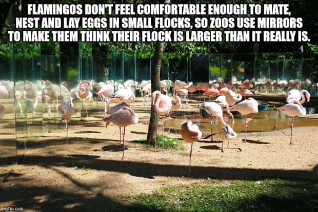 It’s Time for Some Cool and Interesting Facts #383 (30 photos)