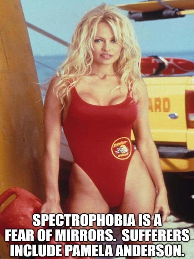 It’s Time for Some Cool and Interesting Facts #383 (30 photos)