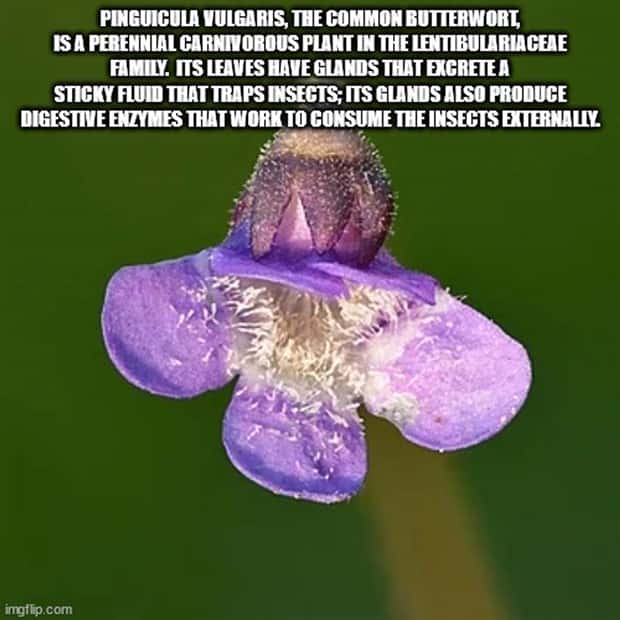 It’s Time for Some Cool and Interesting Facts #383 (30 photos)