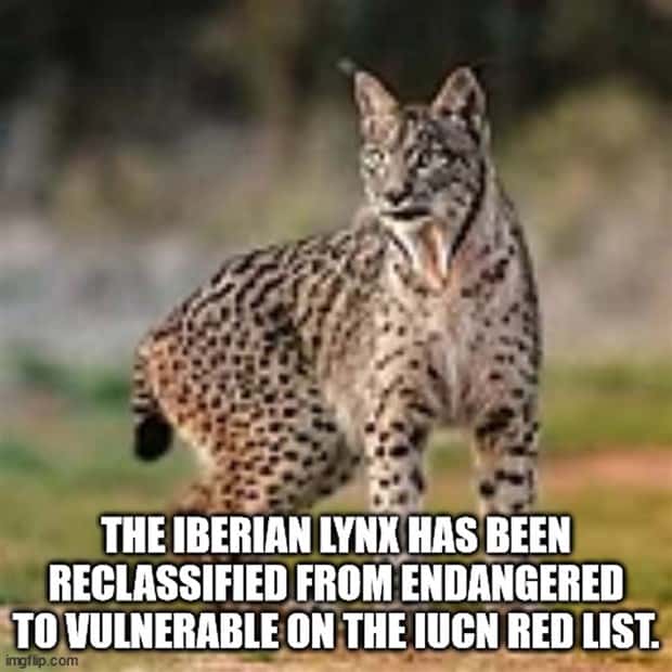 It’s Time for Some Cool and Interesting Facts #383 (30 photos)