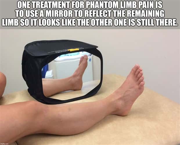 It’s Time for Some Cool and Interesting Facts #383 (30 photos)