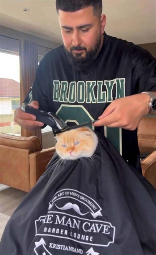 Get Ready for Funny Animals #337 (27 photos)