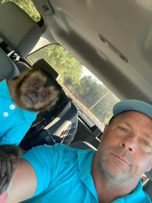 Get Ready for Funny Animals #337 (27 photos)