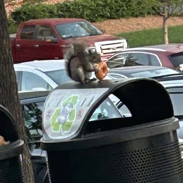 Get Ready for Funny Animals #337 (27 photos)