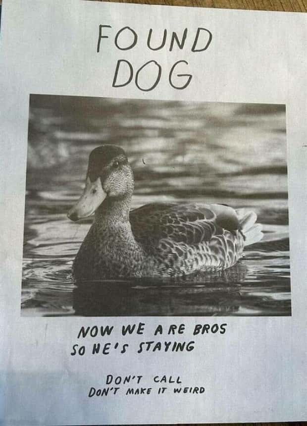 Get Ready for Funny Animals #337 (27 photos)