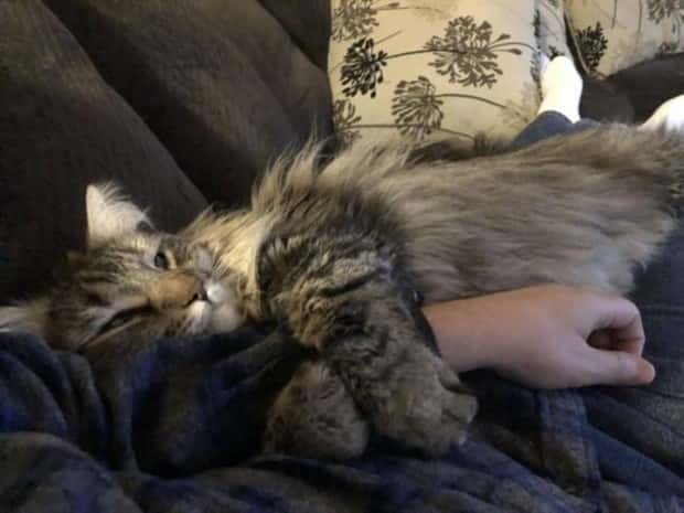 Get Ready for Funny Animals #338 (25 photos)