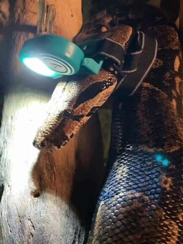 Get Ready for Funny Animals #337 (27 photos)