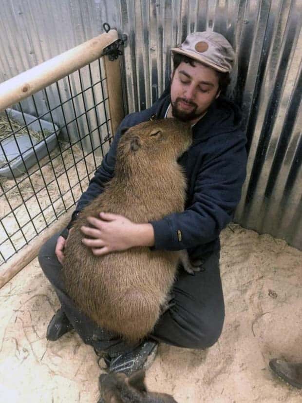 Get Ready for Funny Animals #338 (25 photos)