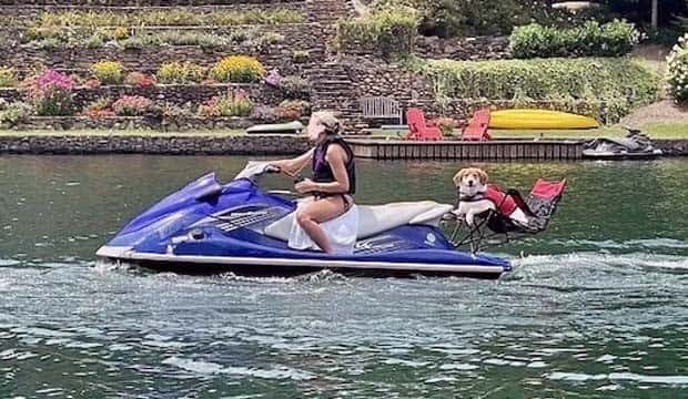 Get Ready for Funny Animals #337 (27 photos)