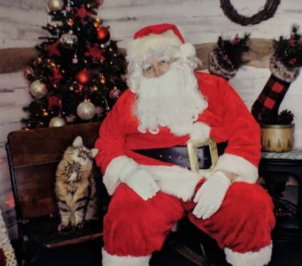 Get Ready for Funny Animals #338 (25 photos)