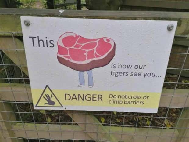 Funny Pics and Memes to Make You Laugh #109 (29 photos)