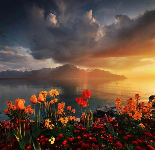 hd images 14 HD Images for Your Sophisticated View #1 (33 photos)