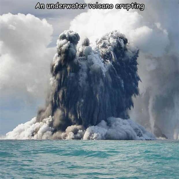 interesting captions 11 Interesting Pictures with Captions #107 (23 photos)