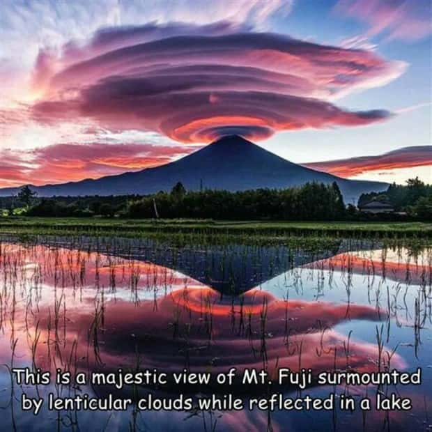 interesting captions 18 Interesting Pictures with Captions #107 (23 photos)