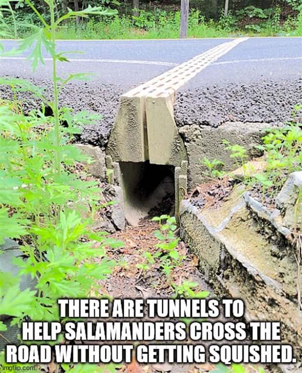 It’s Time for Some Cool and Interesting Facts #382 (25 photos)