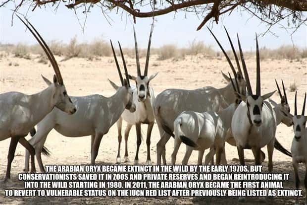 It’s Time for Some Cool and Interesting Facts #382 (25 photos)