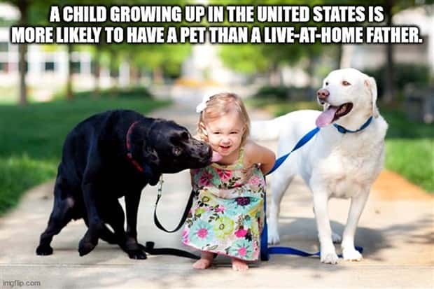 It’s Time for Some Cool and Interesting Facts #381 (24 photos)