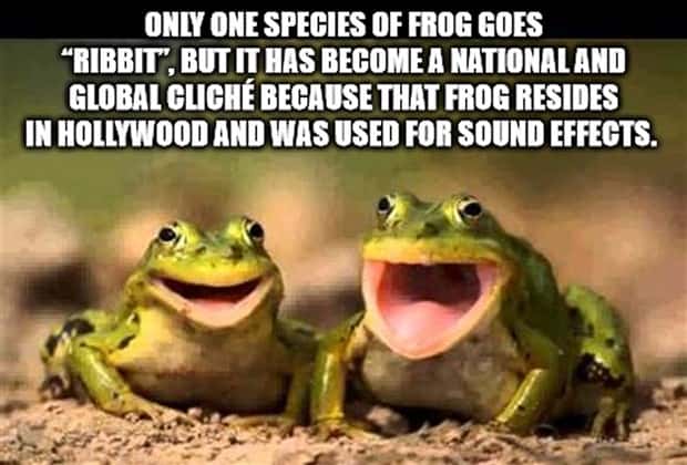 It’s Time for Some Cool and Interesting Facts #381 (24 photos)