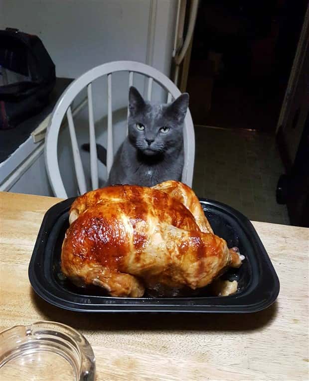 Klyker Picdump #1482 (42 photos)