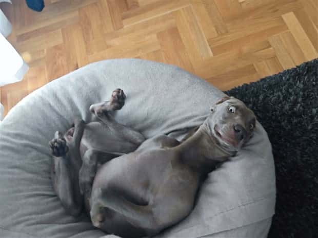 Klyker Picdump #1482 (42 photos)