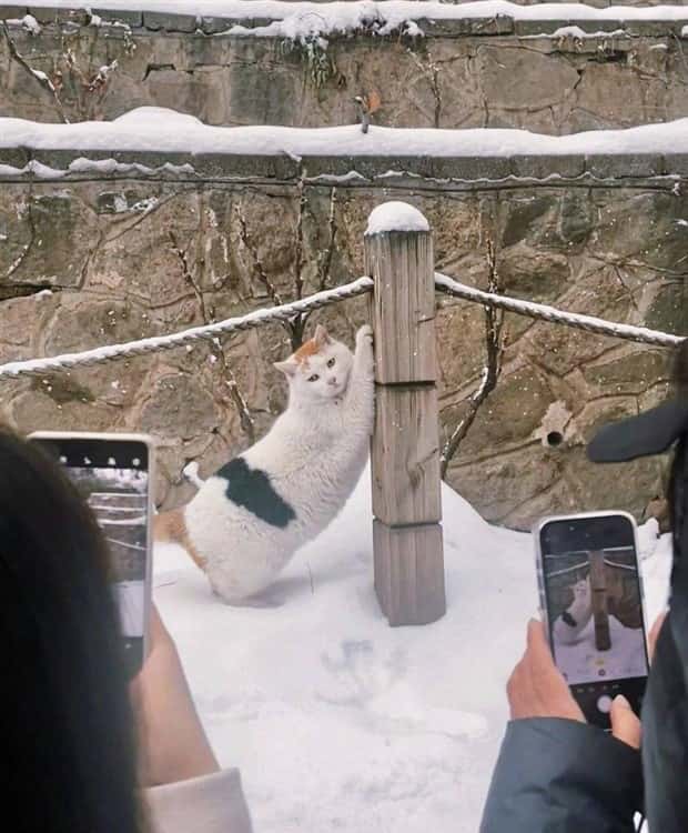 Klyker Picdump #1482 (42 photos)