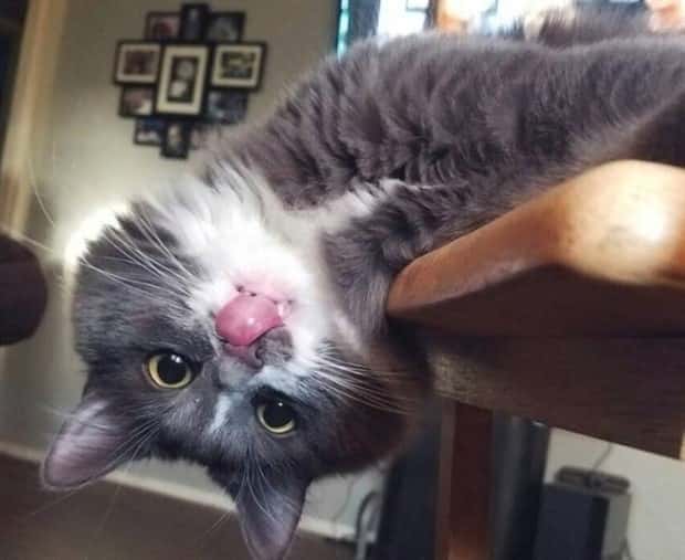 klyker picdump 6 12 2024 19 Klyker Picdump #1483 (43 photos)