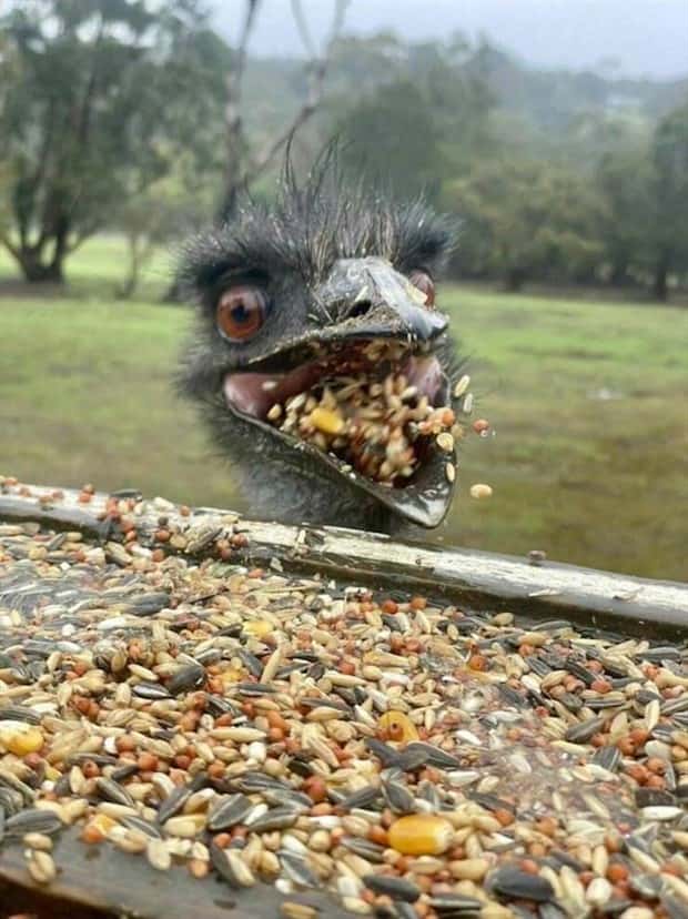 klyker picdump 6 12 2024 20 Klyker Picdump #1483 (43 photos)