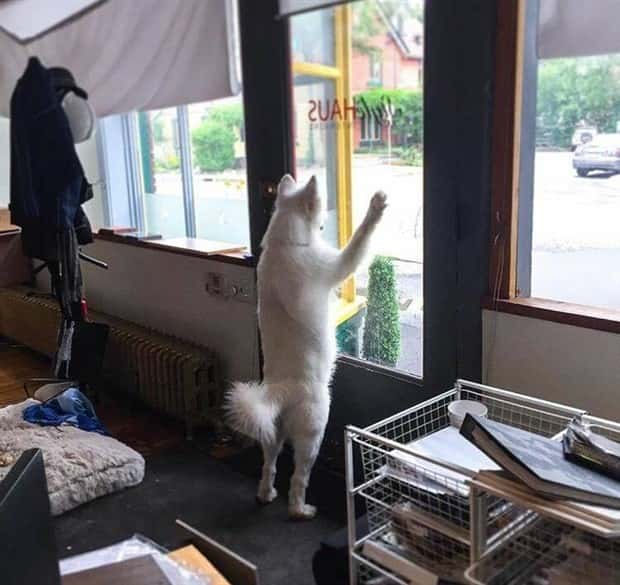 klyker picdump 6 12 2024 24 Klyker Picdump #1483 (43 photos)