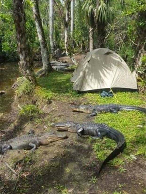 klyker picdump 6 12 2024 26 Klyker Picdump #1483 (43 photos)