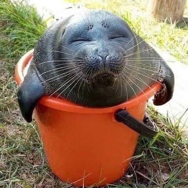 klyker picdump 6 12 2024 36 Klyker Picdump #1483 (43 photos)