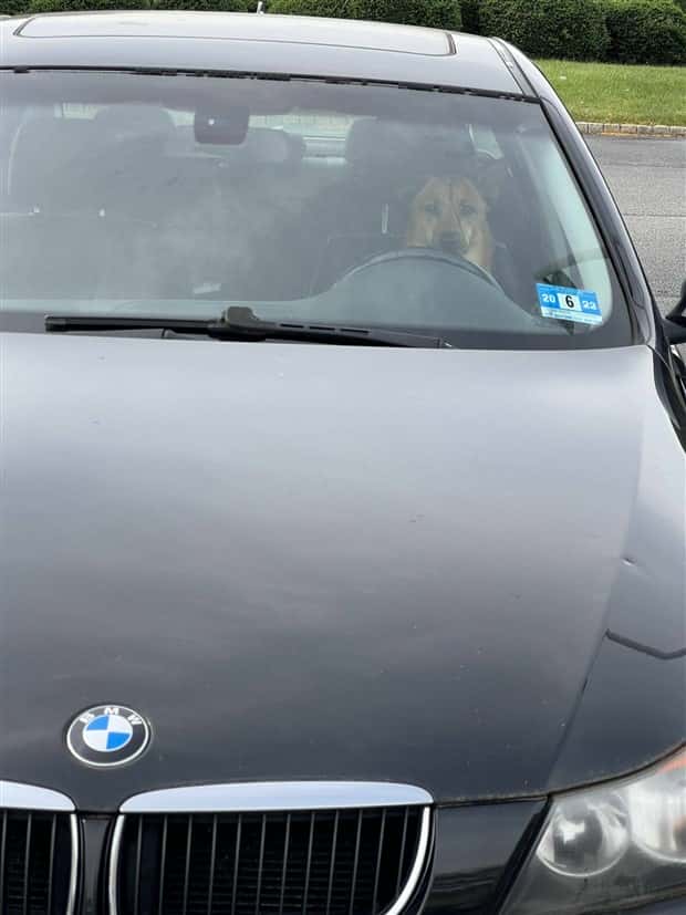 Klyker Picdump #1484 (44 photos)