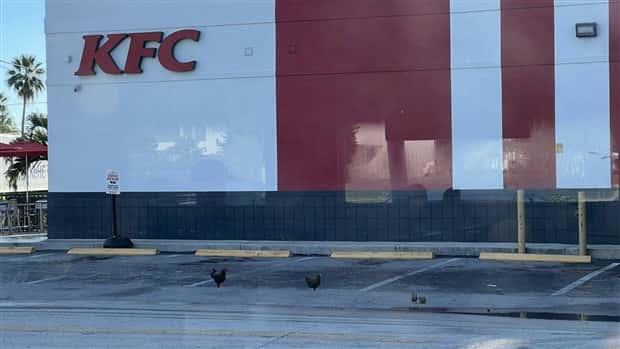 Klyker Picdump #1484 (44 photos)