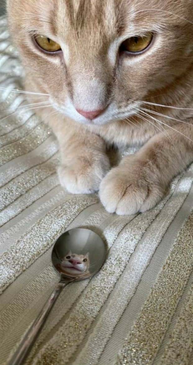 Klyker Picdump #1484 (44 photos)