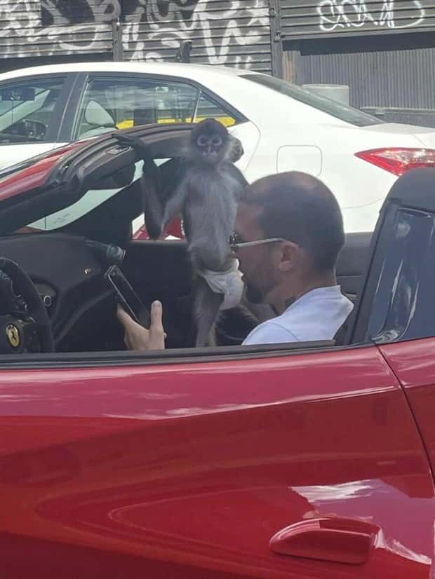 Klyker Picdump #1484 (44 photos)