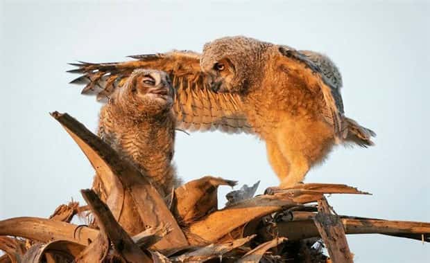 klyker picdump 6 14 2024 28 Klyker Picdump #1485 (45 photos)