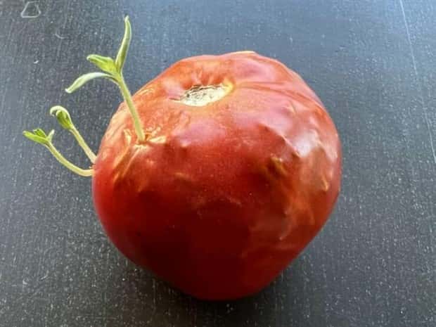 klyker picdump 6 14 2024 37 Klyker Picdump #1485 (45 photos)