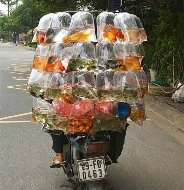 klyker picdump 6 17 2024 10 Klyker Picdump #1486 (41 photos)