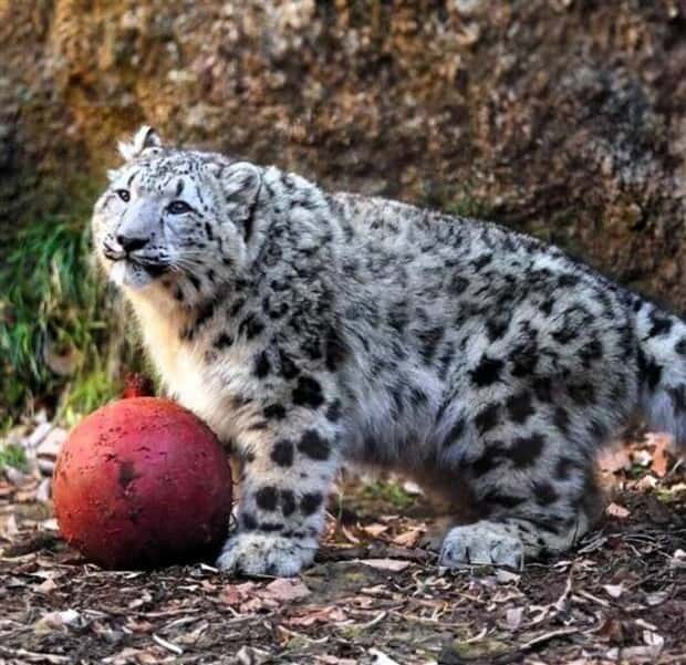 klyker picdump 6 17 2024 16 Klyker Picdump #1486 (41 photos)