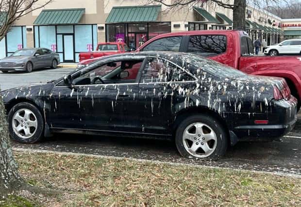 klyker picdump 6 17 2024 29 Klyker Picdump #1486 (41 photos)