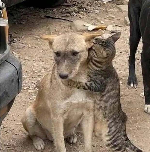 klyker picdump 6 17 2024 32 Klyker Picdump #1486 (41 photos)