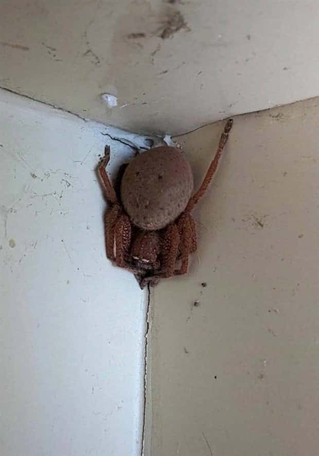 klyker picdump 6 17 2024 35 Klyker Picdump #1486 (41 photos)