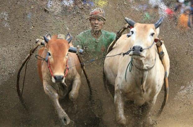 klyker picdump 6 17 2024 39 Klyker Picdump #1486 (41 photos)