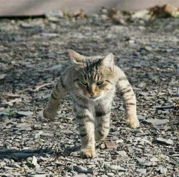 klyker picdump 6 19 2024 22 Klyker Picdump #1488 (43 photos)