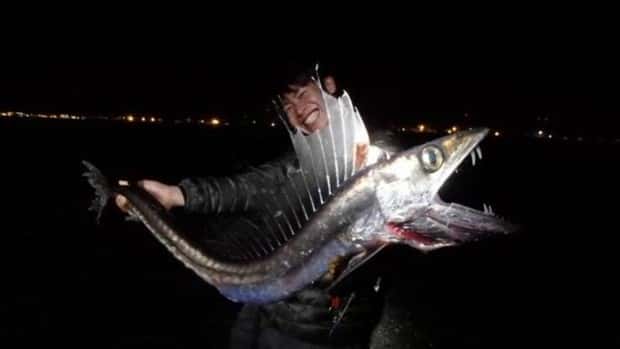 klyker picdump 6 19 2024 23 Klyker Picdump #1488 (43 photos)