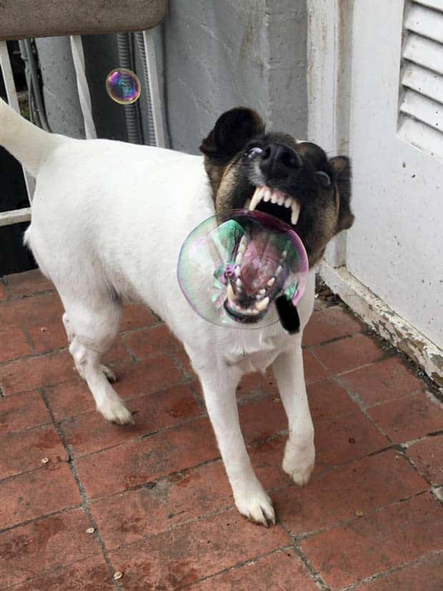 klyker picdump 6 19 2024 39 Klyker Picdump #1488 (43 photos)