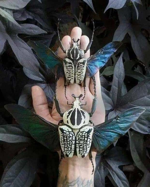 Klyker Picdump #1489 (44 photos)